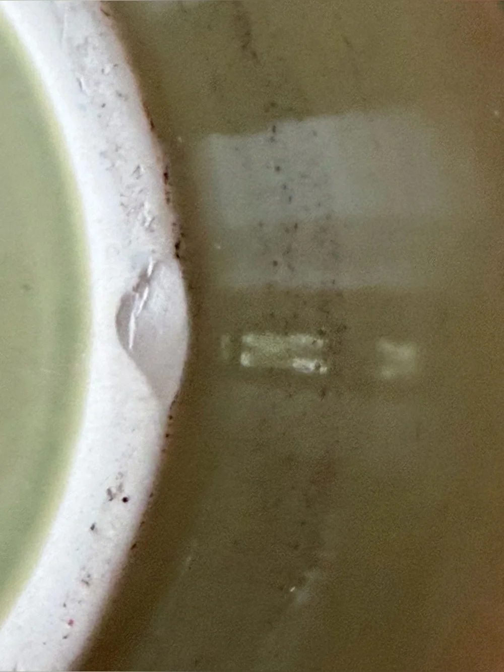Signature Housewares Sorrento Oregano Green 6